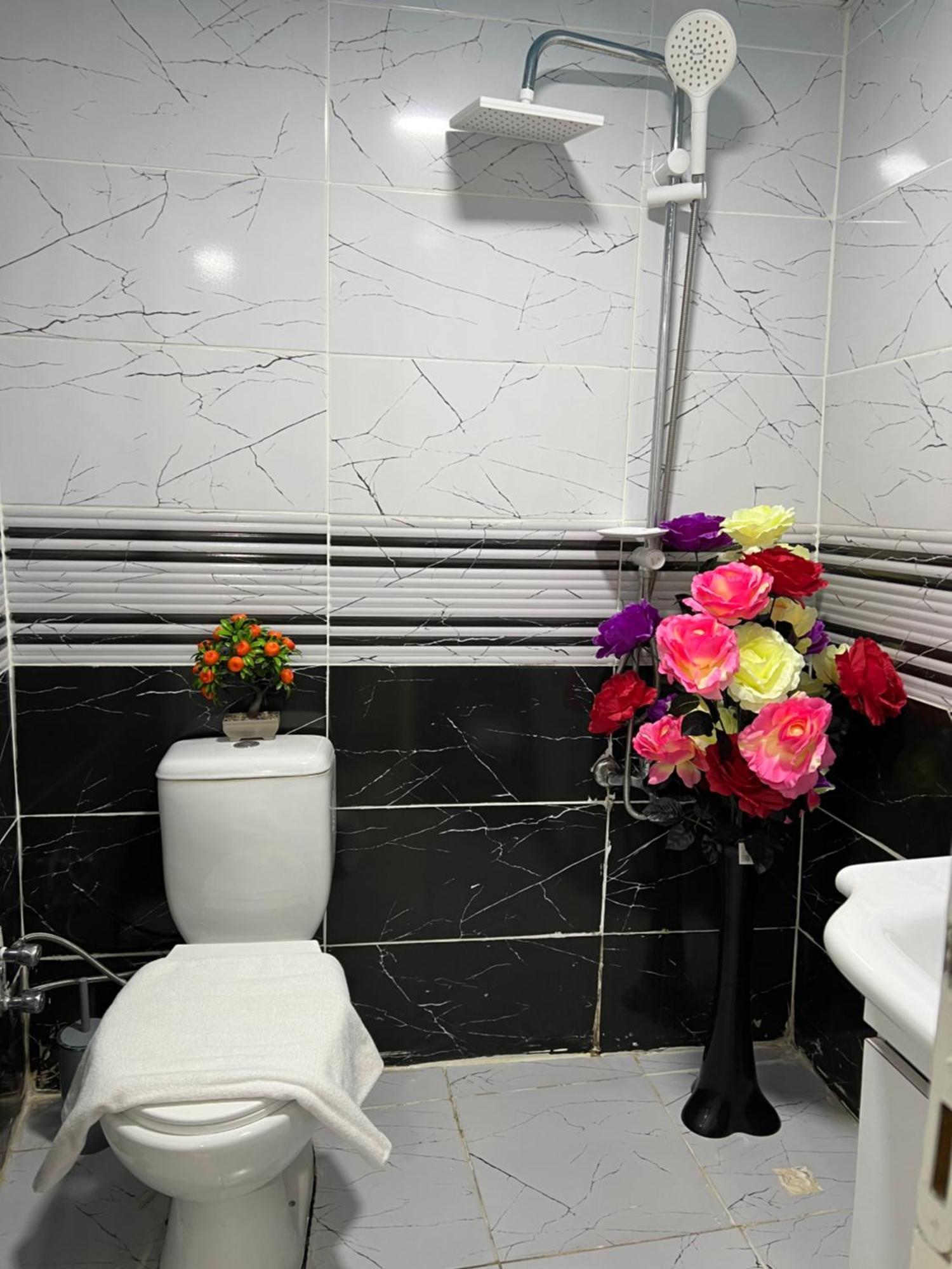 Sultanahmet Blue Apart Hotel Κωνσταντινούπολη Εξωτερικό φωτογραφία